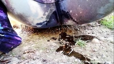Seks alam semula jadi